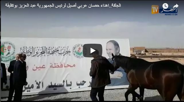 Vidéo – Honoré via son portrait : Bouteflika reçoit un cheval pur sang comme cadeau !