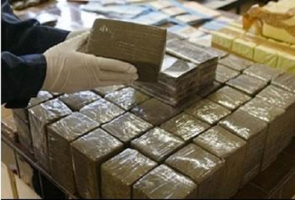 Maghnia : Plus de 18 kg de kif saisis