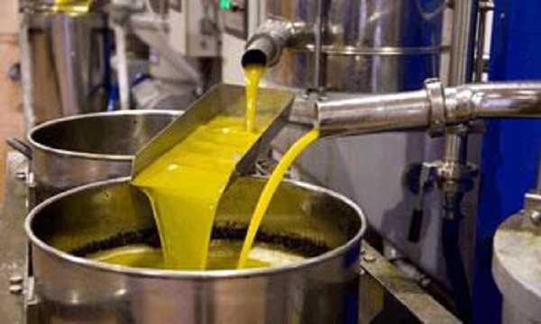 Production de l&rsquo;huile d&rsquo;olive à Tizi Ouzou : Maâtkas détient le palmarès