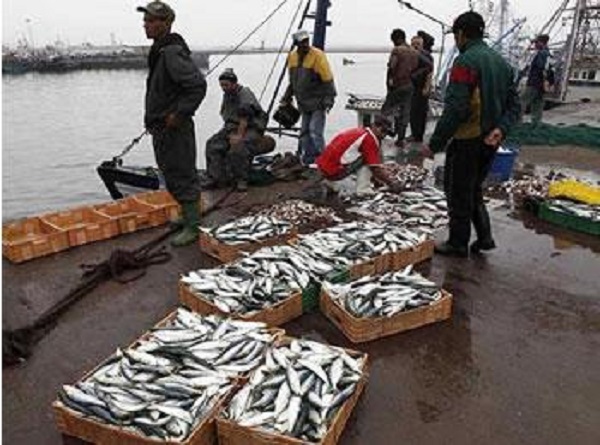 Renégociation de l&rsquo;accord de pêche : Bruxelles fait marche arrière