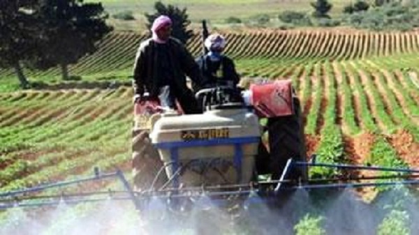 Assises nationales de l&rsquo;agriculture : Comment nourrir les 40 millions d&rsquo;Algériens
