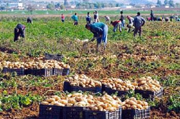 Pour cesser d&rsquo;être un marché pour les puissances économiques : L&rsquo;Algérie n&rsquo;a d&rsquo;autres choix que de se développer