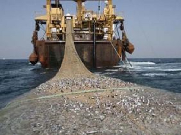 Le Front Polisario condamne la négociation d&rsquo;un amendement à l&rsquo;accord de pêche UE-Maroc