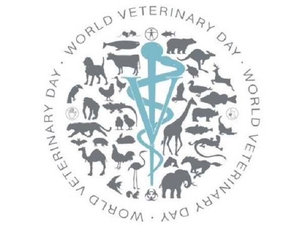 Algérie-Tunisie: on se comprend entre vétérinaires