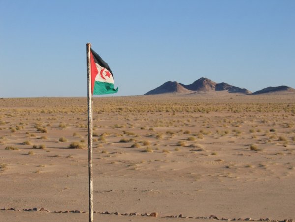 Le Front Polisario réfute les allégations mensongères du Maroc
