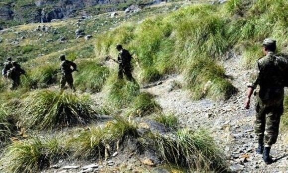 Destruction de 2 abris pour terroristes à Skikda (MDN)