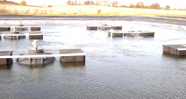 Boumerdès : Entrée en exploitation d’une ferme de crevetticulture avant fin 2018 à Sghirate