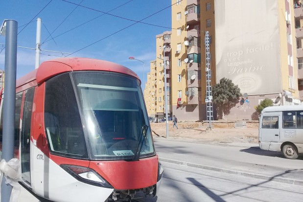 Sur le tracé du Tramway de SÉTIF : 9 000 arbres et arbustes plantés