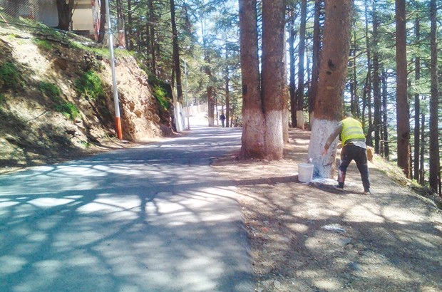 Projets d’investissement à l’arrêt à Chréa (BLIDA) : Mise en place d’une commission mixte