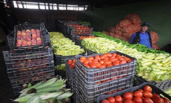 Ramadhan, Marché de gros des Eucalyptus : des produits disponibles et des prix stables