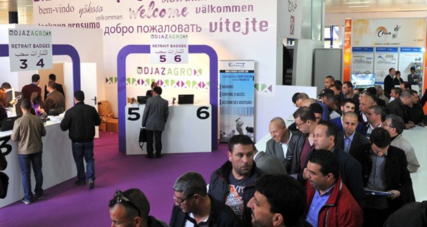 Le packaging : Une filière qui fait ses pas en Algérie