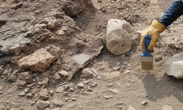 Province du Henan en Chine : Du vin de 2 000 ans d’âge découvert dans une tombe