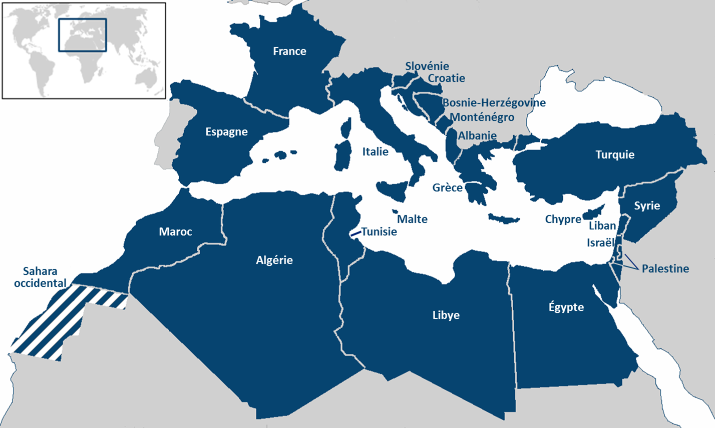 APN: appel aux pays méditerranéens à la mise en place d&rsquo;une stratégie de lutte contre le terrorisme