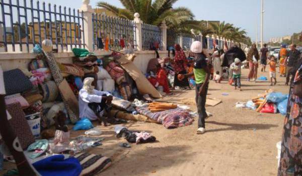 LADDH lance un SOS : Des bandes armées de chiens et de sabres attaquent les migrants à Oran