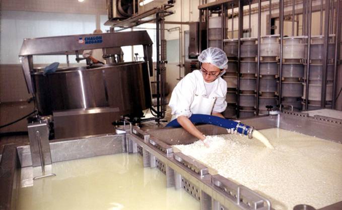 Pénurie du lait: les quotas de la poudre, gonflés par l’etat