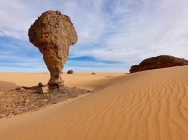 Forum international «Atakor»: une invitation à la relance du tourisme saharien