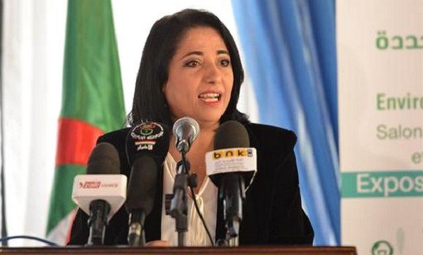 Le Gouvernement a approuvé le projet du Complexe de valorisation énergétique des déchets du Grand Alger