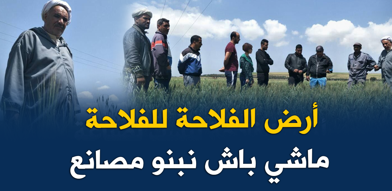 Vidéo: Un agriculteur dénonce l’expropriation de son terrain pour la construction de l’usine Peugeot à Oran !