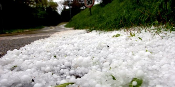 Batna : près de 66 ha d&rsquo;arbres fruitiers endommagés et 20 ovins décimés par la grêle
