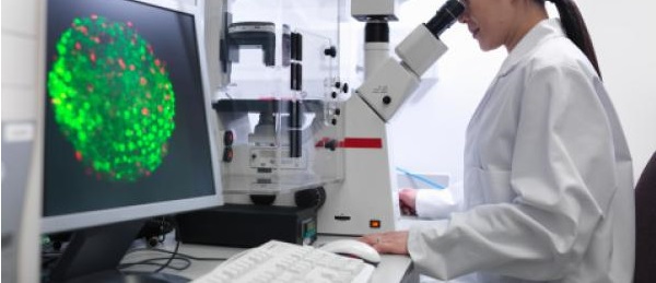 Le nouveau programme de la 1ère année des sciences médicales, appliqué dès la prochaine rentrée