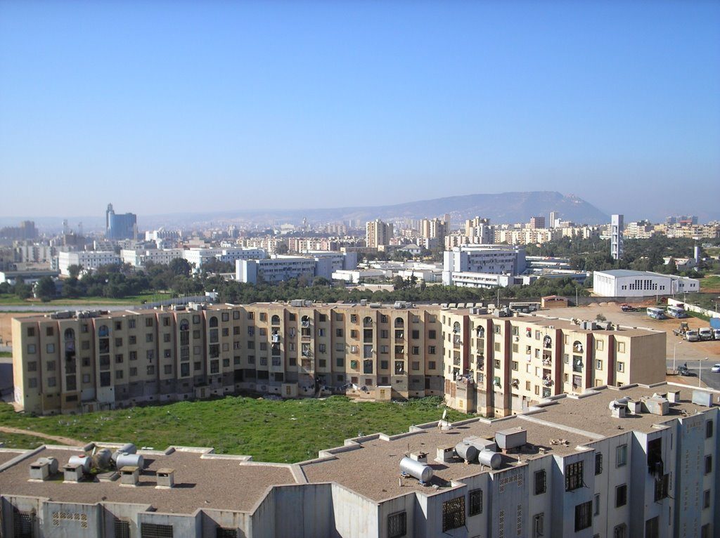 Bir El Djir: Relogement prochain de 400 familles à Chahid Mahmoud et Hassi Benokba