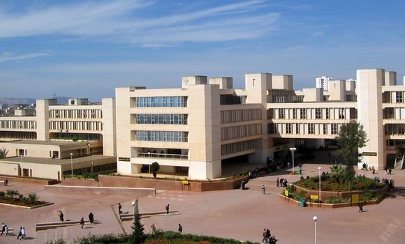 Intelligence artificielle: trois scientifiques algériennes honorées à Oran