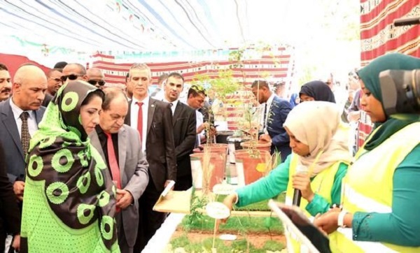 Zerouati: appel à davantage d’efforts dans la lutte contre la désertification