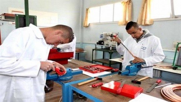 Conseil de la Nation : présentation et débat du projet de loi sur l’apprentissage mardi