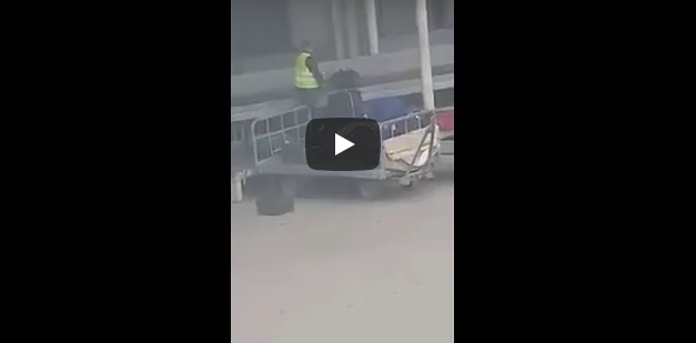 Voilà ce que font les agents d’embarquement des valises des voyageurs au niveau de l’aeroport d’alger !