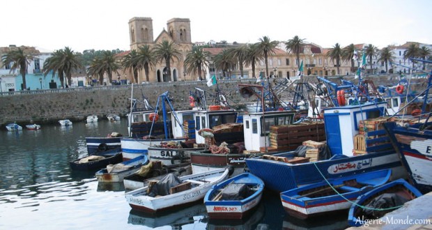 Opération ports-bleus : Près de 3 tonnes de déchets collectés à El Tarf