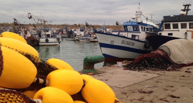 Port de pêche de Dellys (Boumerdès) : Lancement des travaux de dragage au 3e trimestre 2018