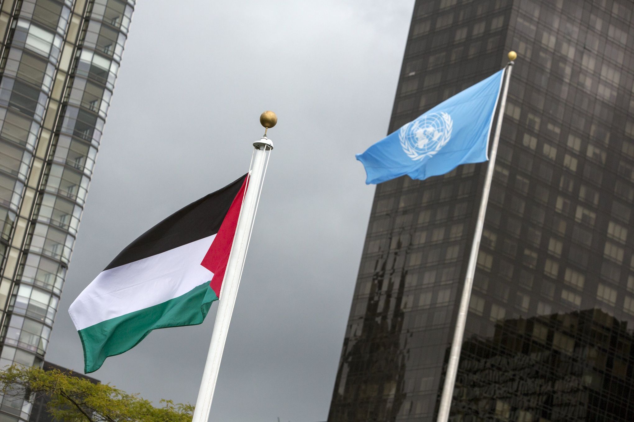 La Palestine adhère à deux nouvelles agences de l&rsquo;ONU