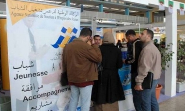 Rééchelonnement des dettes et annulation des pénalités de retard : 1100 dossiers déposés à l’Ansej