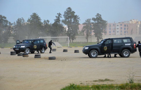 Le président d’Interpol salue le professionnalisme du GOSP de Boudouaou