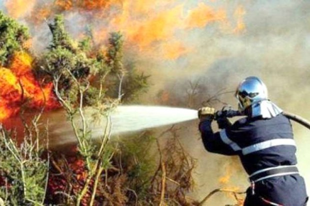 Prévention et lutte contre les feux de forêts: 12 ministères font cause commune