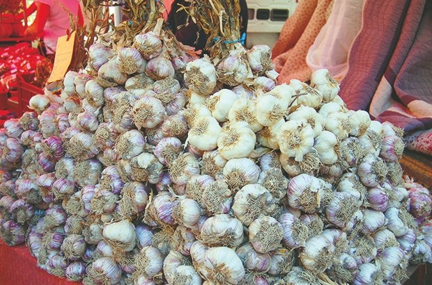 La conservation par le froid pour réguler et organiser la filière de l’ail