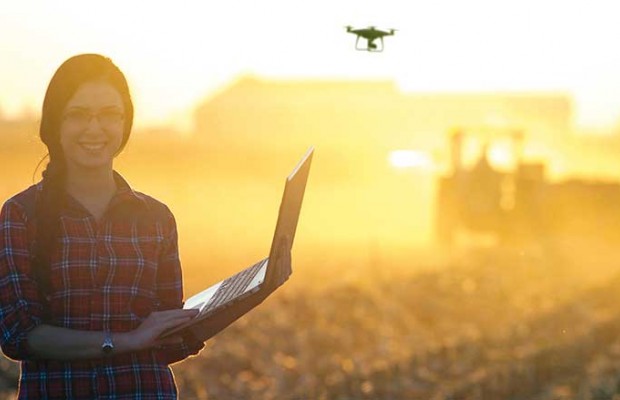 Banque Mondiale : Le digital change la nature du travail