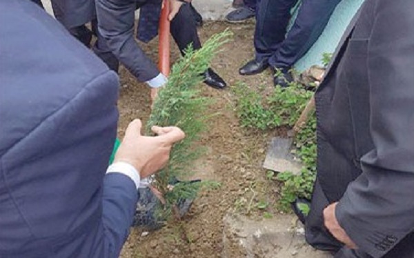 En hommage aux 257 victimes du crash de l’avion militaire de Boufarik : Plantation de 257 arbres au carré des martyrs de Tizi Ouzou