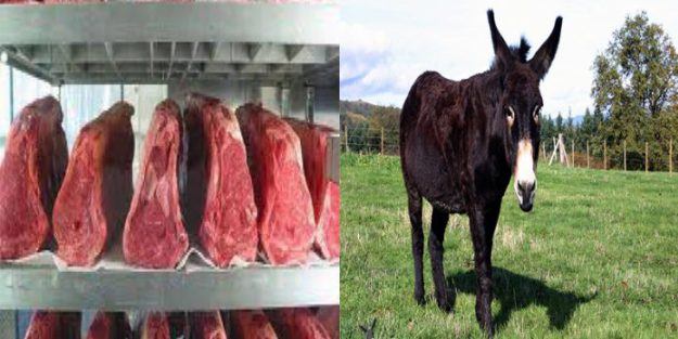 Constantine : Découverte d’un âne dans un abattoir clandestin !