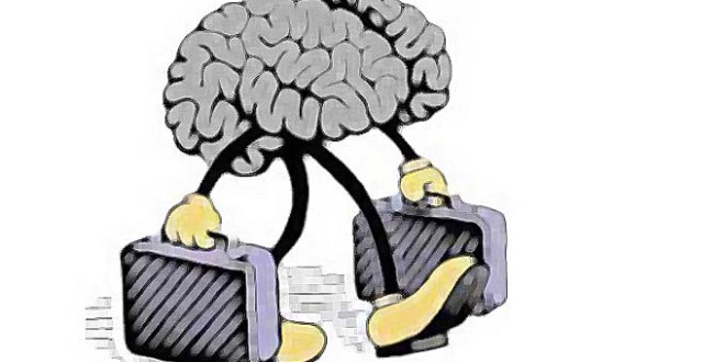 La fuite des cerveaux, quelles solutions ?