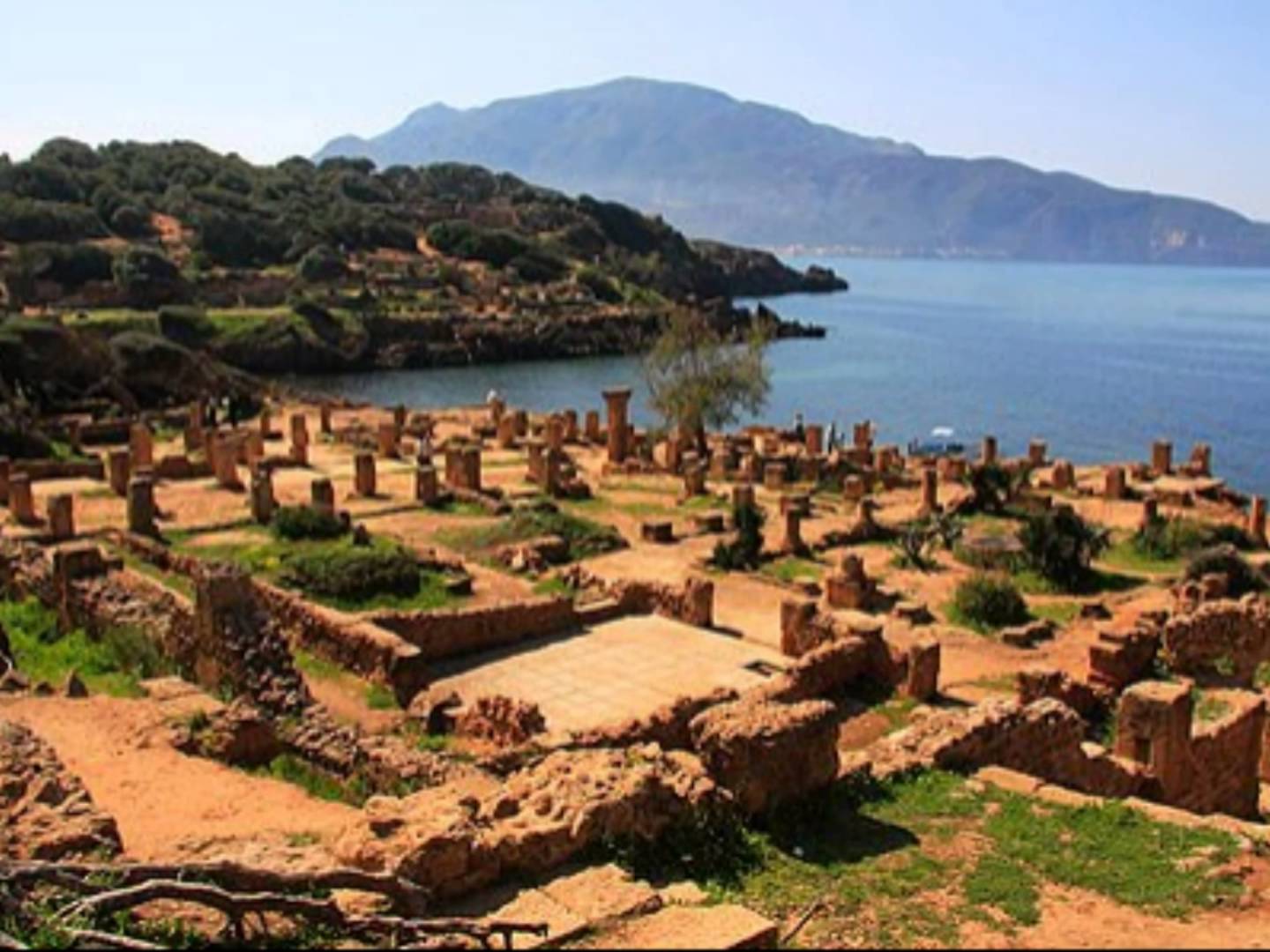 kasi tour tipaza