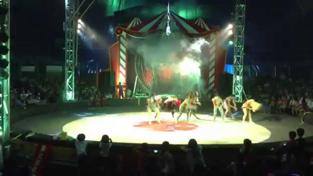 Opéra d’Alger: L’Afro Cirkus arrive !