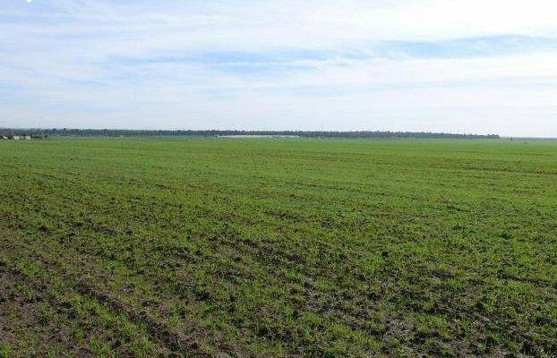 Mila : plus de 3700 actes de concession de terres agricoles délivrés