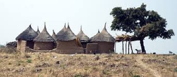 Dans la région nord du Cameroun: 32 morts au cours d’un affrontement avec un groupe armé