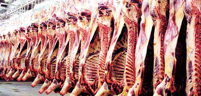 Souk ahras : Saisie de 28 kilogrammes de viande rouge impropre à la consommation