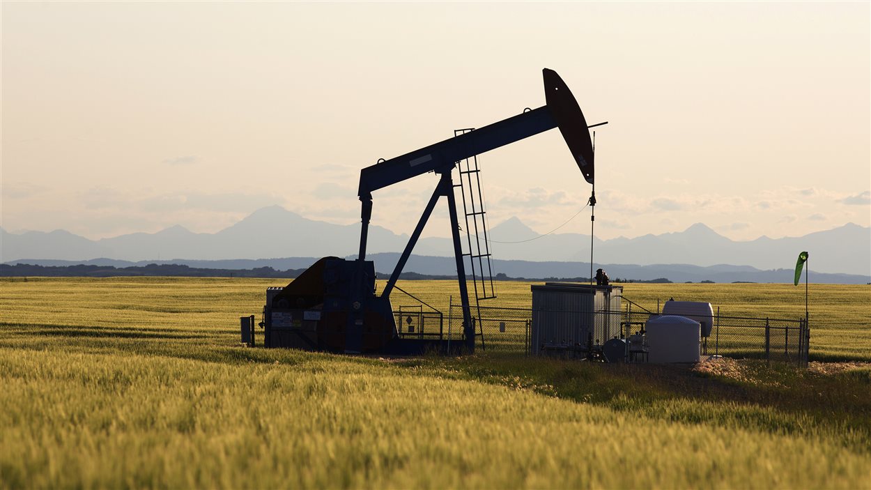 Une nouvelle découverte de pétrole à Bechar !