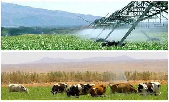 Un groupe de travail pour inciter les jeunes à la création de micro entreprises dans le secteur agricole
