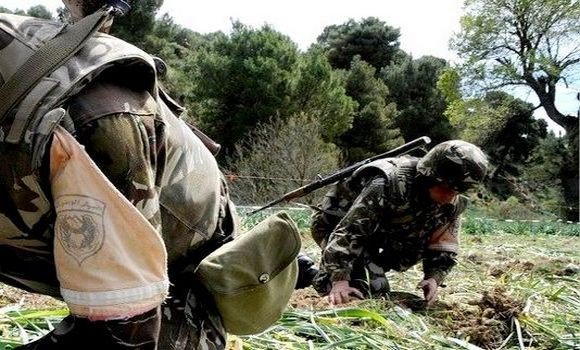 Deux bombes de confection artisanale détruites près de Bougara à Blida (MDN)