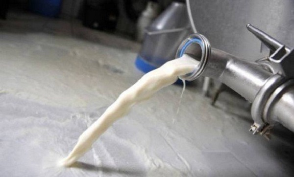 Ramadhan: production d’un million de litres de lait/jour dans 6 wilayas de l’Est