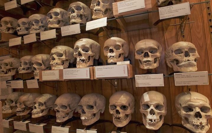 Le dossier de restitution des crânes de Chouhada sur la bonne voie